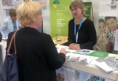 60296409_2438209356210335_6724947513041747968_n